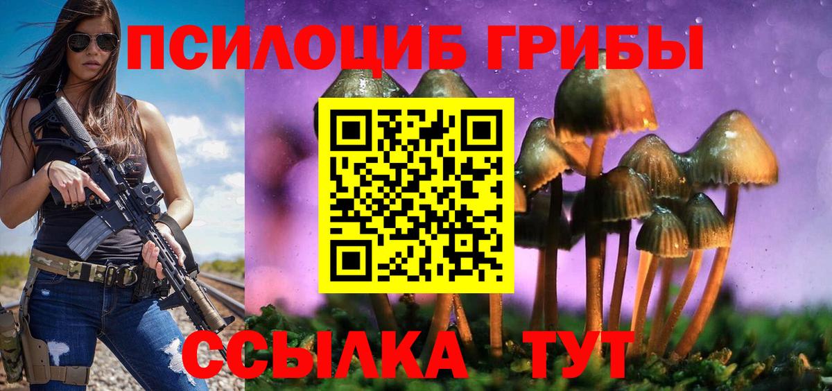 Псилоцибиновые грибы Cubensis Курчатов
